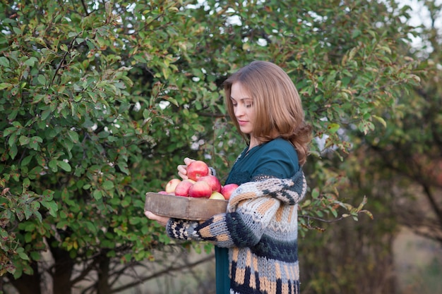 Frau hält einen Korb mit roten Äpfeln