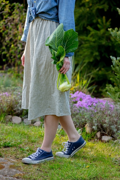 Frau hält in einer Hand einen frischen Kohlrabi in einem Garten