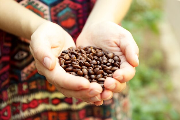 Frau hält in Händen geröstete Kaffeebohnen