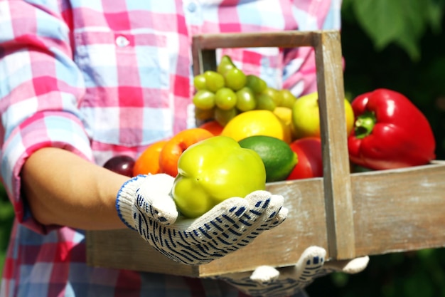 Foto frau hält kiste mit obst und gemüse im freien