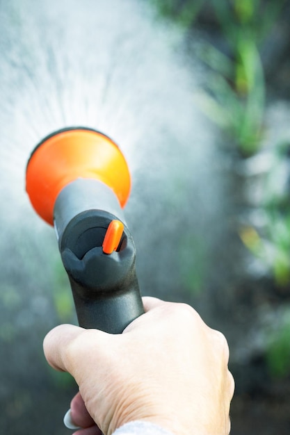 Frau hält Schlauchsprüher in der Hand und bewässert grüne Pflanzen im Garten, Bewässerungskonzept, selektiver Fokus