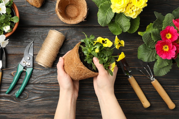 Frau halten Topf. Holztisch mit Blumen und Gartengeräten, Draufsicht