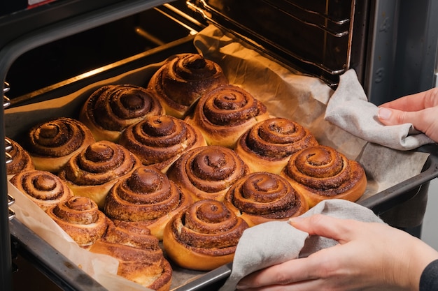 Frau holt aus dem Ofen leckere gebackene Zimtschnecken mit einer rötlichen Kruste heraus