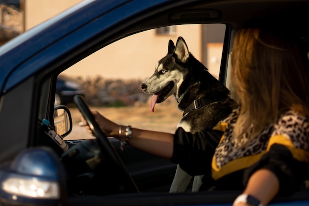 Frau im Fahrzeuginnenraum mit ihrem Siberian Husky-Hund.