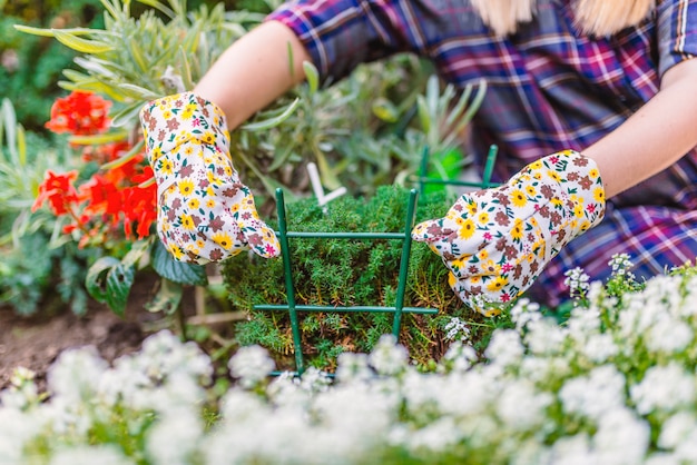 Frau im Garten arbeiten. Gärtner, der um ihren Anlagen in einem Garten sich kümmert