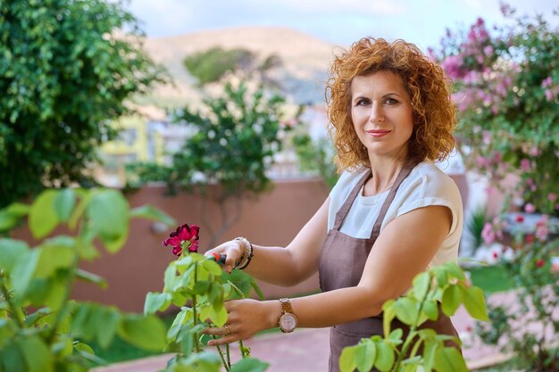 Frau im Garten mit Gartenschere, die sich um blühenden Rosenstrauch kümmert