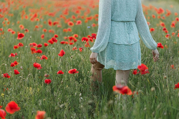 Frau im geblümten Kleid spaziert im Mohnfeld in der abendlichen Sommerlandschaft. Stimmungsvoller Moment. Junge Frau entspannt sich und sammelt Wildblumen auf der Wiese. Einfaches Landleben