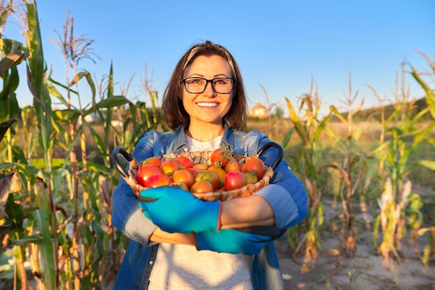 Frau im Gemüsegarten mit frisch gepflückten reifen Tomaten im Korb, Hintergrund der natürlichen Landschaft des Sonnenuntergangs, glückliche landwirtschaftliche Bäuerin