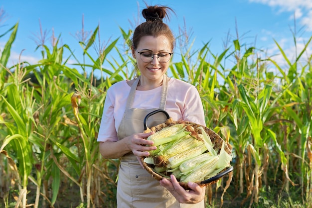 Frau im Gemüsegarten mit Korb mit frischem reifem Mais, Anbau gesunder Bio-Lebensmittel, Hobby und Gartenarbeit, Frau auf dem Hintergrund von Maispflanzen und blauem Himmel