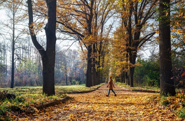 Frau im Herbstpark