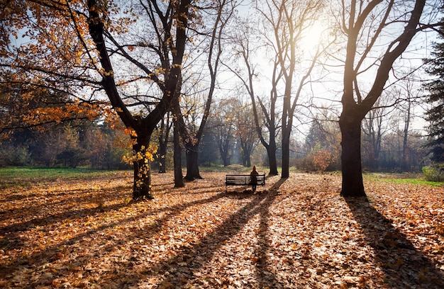 Frau im Herbstpark