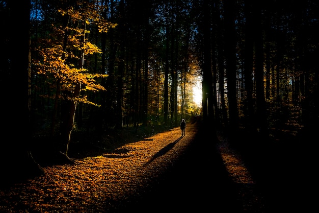 Frau im Wald im Herbst