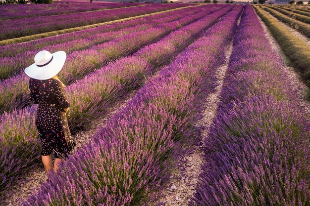 Frau im weißen Hut in der Sommersonnenuntergangslandschaft des Lavendelfeldes nahe Valensole