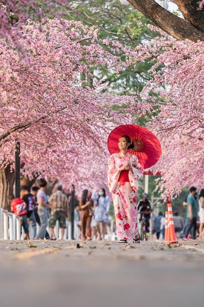 Frau im Yukata (Kimonokleid), das Regenschirm hält und Sakura-Blume oder Kirschblüte schaut, die im Garten blüht