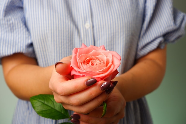 Frau in blauem Kleid mit zarten rosa Rosenblüten in den Händen Nahaufnahme Frau mit weißen Maniküre mit zarten rosa Rosenblüten