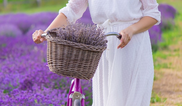 Frau in einem Feld von Lavendelblumen in einem selektiven Fokus des weißen Kleides