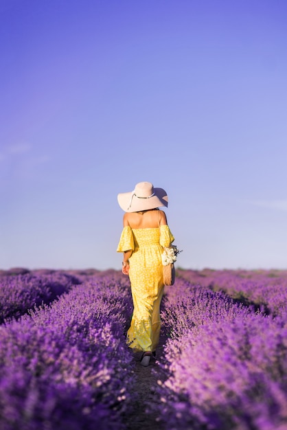 Frau in einem gelben Kleid und Hut geht in ein Lavendelfeld. Ansicht von hinten. Schönes Lavendelfeld und blauer Himmel