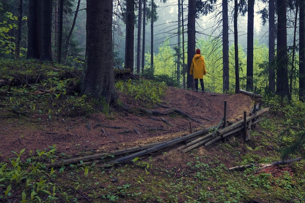 Frau in einem gelben Regenmantel auf einem Waldweg in einem dunklen Wald