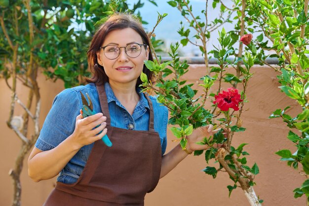 Frau in einer Schürze mit Pruner blühendem Hibiskusbusch im Garten