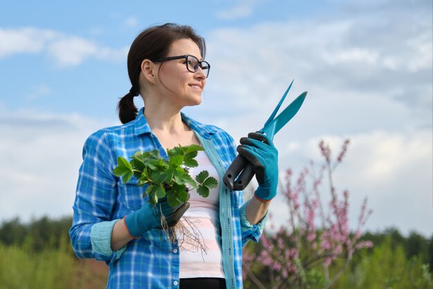 Frau in Handschuhen mit Gartenwerkzeugen, die Erdbeerbusch halten.