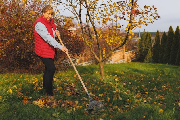 Frau in roter Weste mit Rechen Gartenarbeit während der Herbstsaison Reinigung des Rasens von Blättern Harken von gefallenen Blättern im Garten