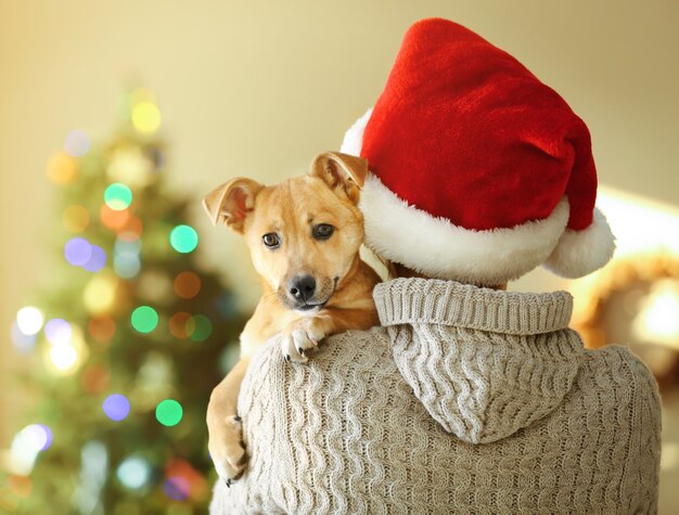 Frau in Weihnachtsmütze, die an der Schulter kleinen lustigen süßen Hund auf Weihnachtshintergrund hält