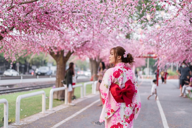 Frau in Yukata (Kimonokleid), die Sakura-Blume oder Kirschblüte schaut, die im Garten blüht