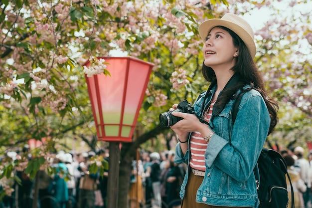 Frau macht Sakura-Kirschblütenfoto