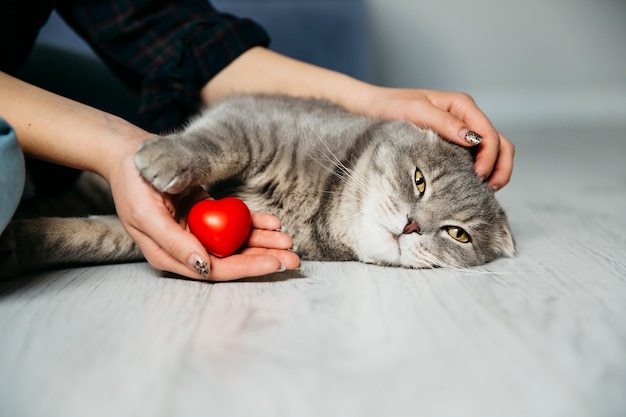 Foto frau mit dekorativer herzstreichelkatze