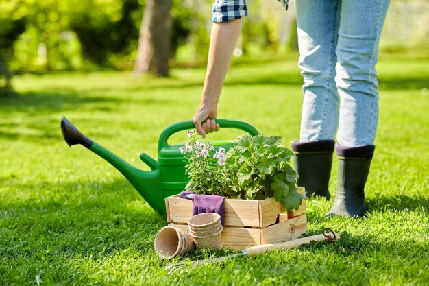 Frau mit Gartenwerkzeugen in einer Holzkiste im Sommer