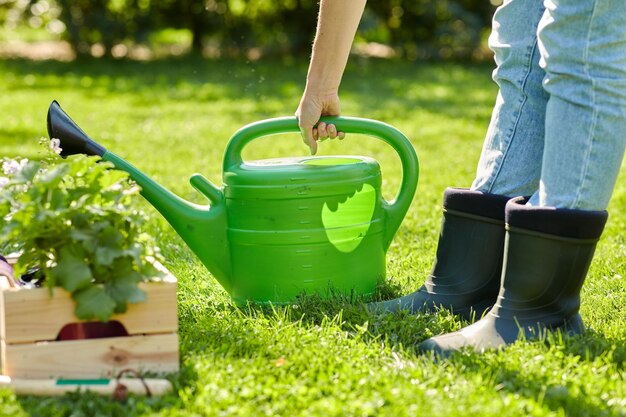 Frau mit Gartenwerkzeugen in einer Holzkiste im Sommer