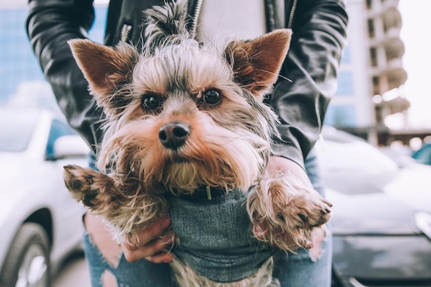 Frau mit Hund