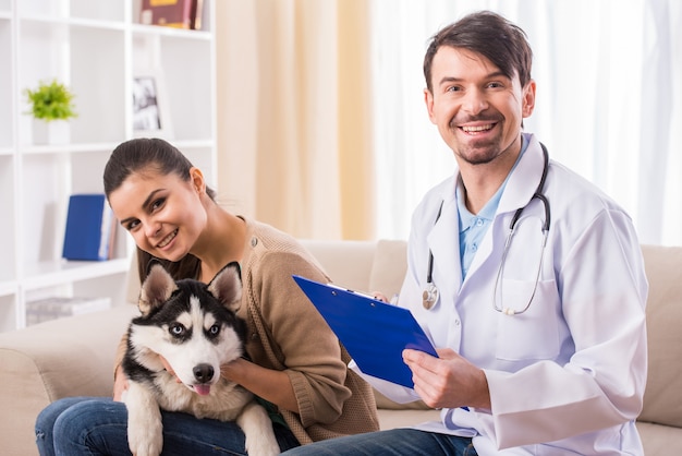 Frau mit ihrem Hund Husky zu Besuch beim Tierarzt.