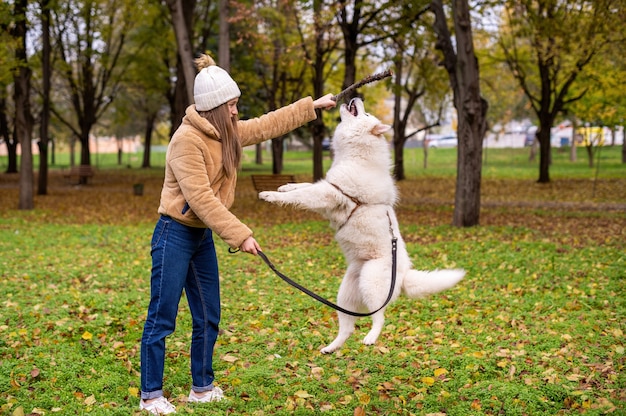 Frau mit ihrem Hund im Herbst in einem Park. Frau spielt mit Hund mit einem Stock, Hund springt. Grün herum