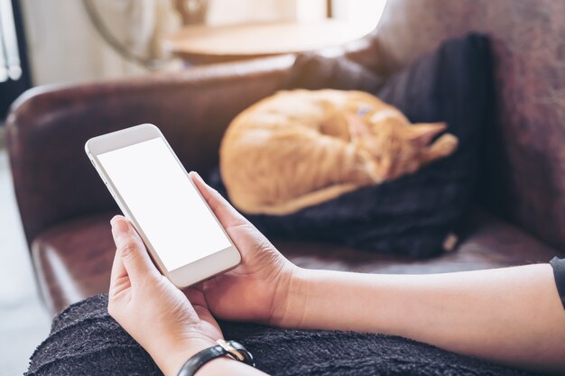 Frau mit intelligentem Telefon des Modells u. Einer Katze