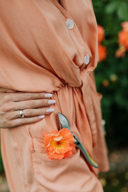 Frau mit oranger Rose und Gartenschere