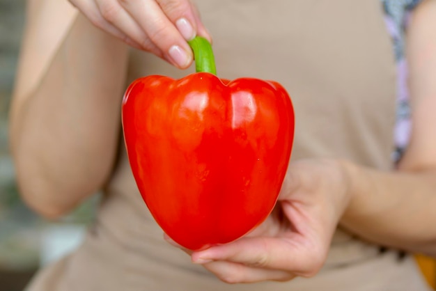 Frau mit rotem Paprika in der Nähe gesundes Essen oder Diätkonzept Foto in hoher Qualität