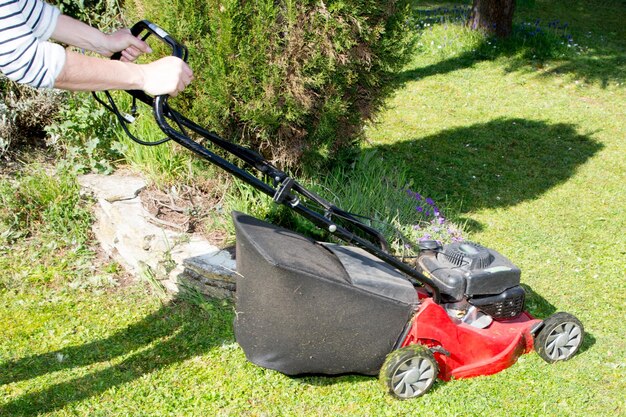 Frau mit rotem Rasenmäher, der grünes Gras im Sonnenlicht schneidet