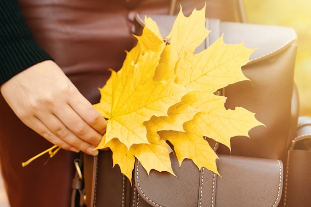 Frau mit Rucksack und Laubstrauß aus Herbstblättern stilvolle Frau in den Sonnenfotos für die ...