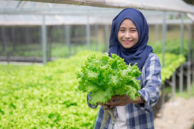 Frau mit Salat stehend in hydropohonischer Farm