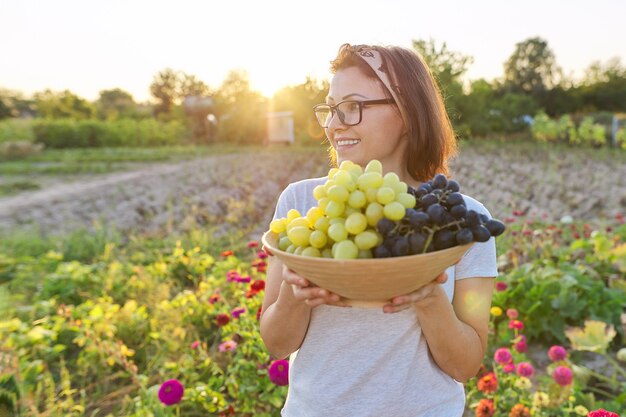 Frau mit Schüssel mit frisch gepflückten blauen und grünen Trauben, sonniger Gartenhintergrund. Gartenarbeit, Landwirtschaft, Weinberg, Ernte, gesundes natürliches Bio-Lebensmittelkonzept