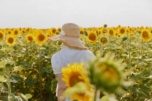 Frau mit Strohhut in einem Sonnenblumenfeld Rücksicht Hochqualitätsfoto