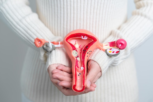 Frau mit Uterus und Eierstöcken Modell Eierstock- und Gebärmutterhalskrebs Gebärmutterhalskrebs Endometriose Hysterektomie Uterusmyome Fortpflanzungssystem und Schwangerschaftskonzept