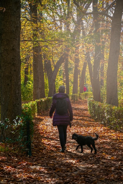 Frau mittleren Alters geht mit ihrem Hund durch die Herbstlandschaft im Retiro-Park in Madrid, Spanien