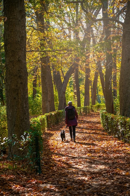 Frau mittleren Alters geht mit ihrem Hund durch die Herbstlandschaft im Retiro-Park in Madrid, Spanien