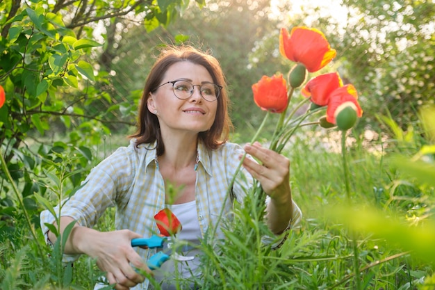 Frau mittleren Alters in der Natur schneidet Blumen rote Mohnblumen