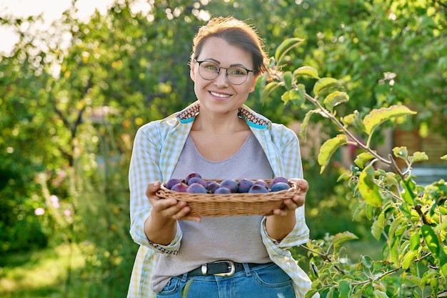 Frau mittleren Alters mit Pflaumenernte auf einem Weidenteller im Freien Gartenarbeit Obstgarten Landwirtschaft Hobby Freizeit Sommer Herbst Saison gesundes Ernährungskonzept