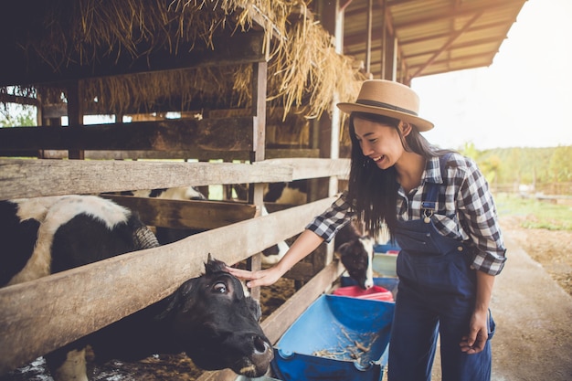 Frau oder Landwirt mit und Kühe im Kuhstall auf der Molkerei-Landwirtschaft