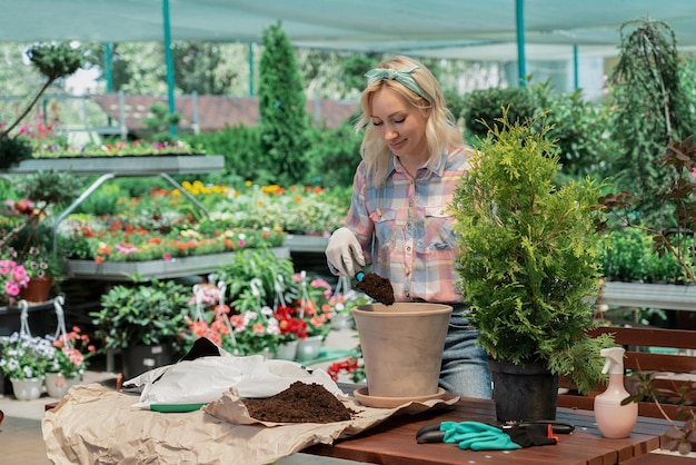 Frau pflanzt einen Busch in einem Blumentopf mit Erde im Gartenzentrum