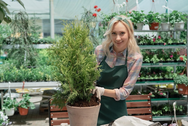 Frau pflanzt einen Busch in einem Blumentopf mit Erde im Gartenzentrum